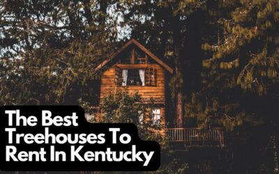 Treehouse Rentals In Kentucky For Your Next Vacation Stay