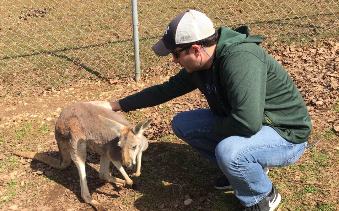 Our review of Kentucky Down Under Adventure Zoo and why you should go