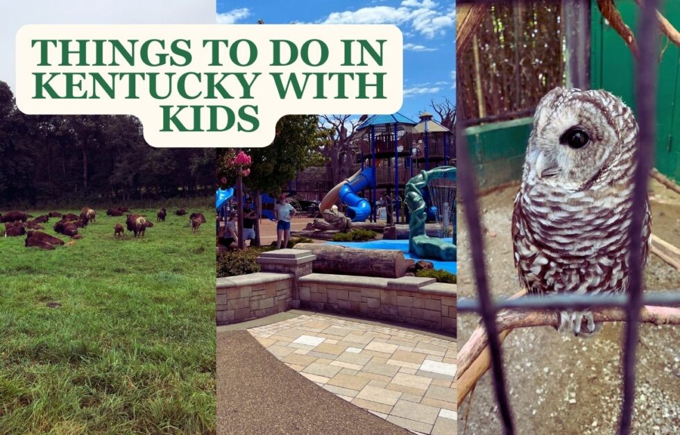 kid-friendly-activities-in-kentucky-for-families-stay-bluegrass